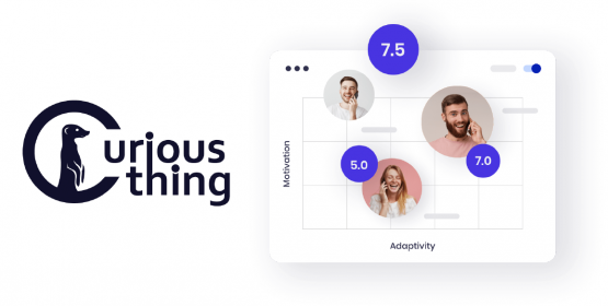 Curious Thing AI Candidate Assessments Curious Thing AI Candidate Assessments